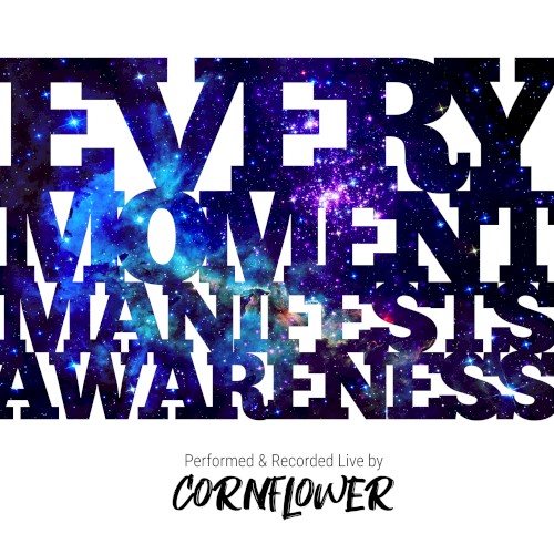 Every Moment Manifests Awareness