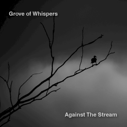 Against the Stream