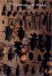 The History Of Mlehst - Chapter 12