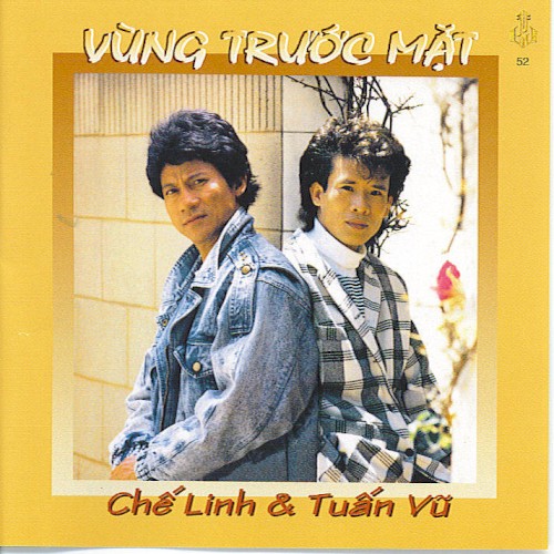 Vùng trước mặt