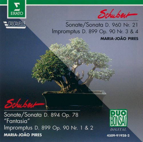 Sonate D. 960 nr. 21 / Impromptus D. 899 op. 90 nr. 3 & 4 / Sonate D. 894 op. 78 "Fantasia" / Impromptus D. 899 op. 90 nr. 1 & 2