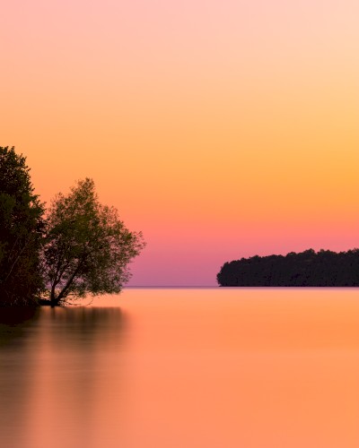 ambient house