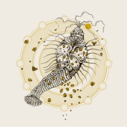 Geisteskrank / Young Bones