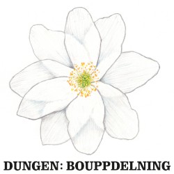 Bouppdelning