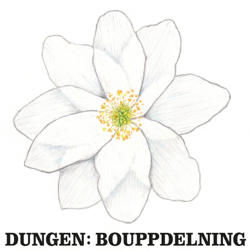 Bouppdelning