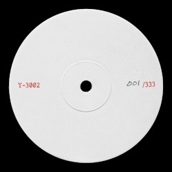 Y-3002