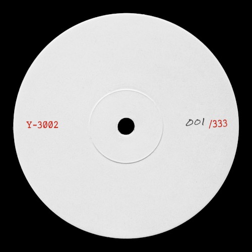 Y-3002