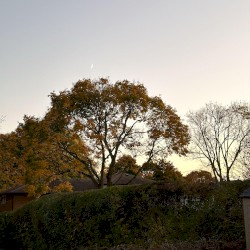 The Sun Feels Different in September