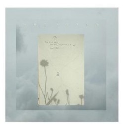 A Bird Calls and Its Song Awakens the Air, and I Call