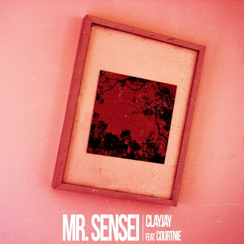 Mr. Sensei