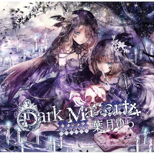 Dark Matter