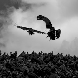 Sky Burial