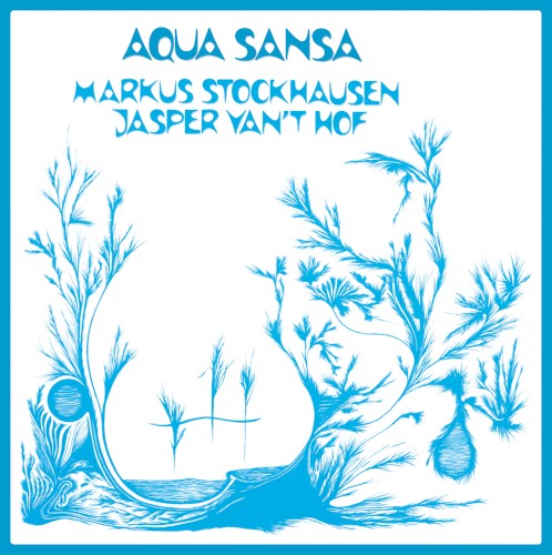 Aqua Sansa
