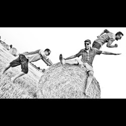 Screamin' Eagle (The Desert Sessions)