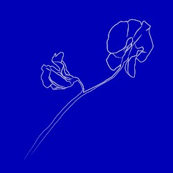 New Path (The Remixes)