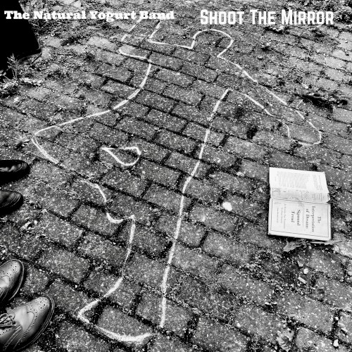 Shoot The Mirror