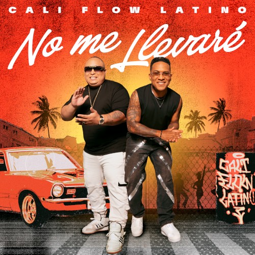 No me llevaré