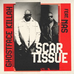 Scar Tissue