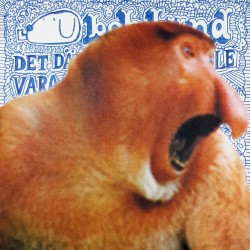 Det där nya som skulle vara så bra