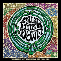 Follow Me Down: Vanguard's Lost Psychedelic Era (1966-1970)