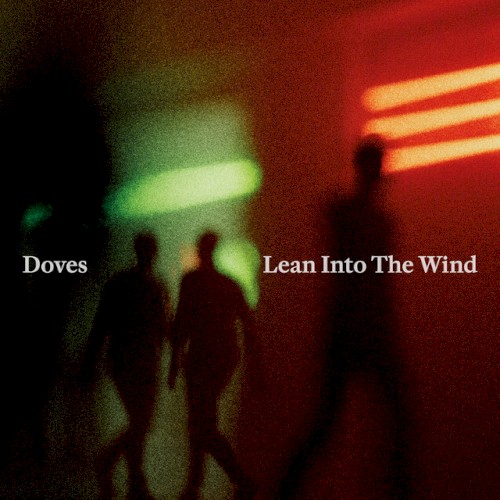 Lean Into The Wind