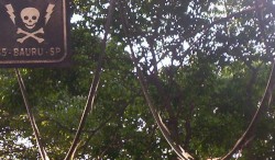 Electronic Harassment 4–5