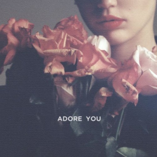 Adore You