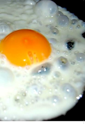 Egg Fry #2