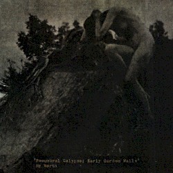 Penumbral Calypso; Early Garden Walls