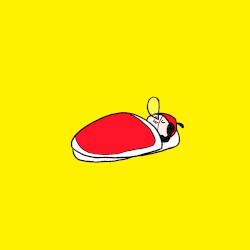 マツテイル