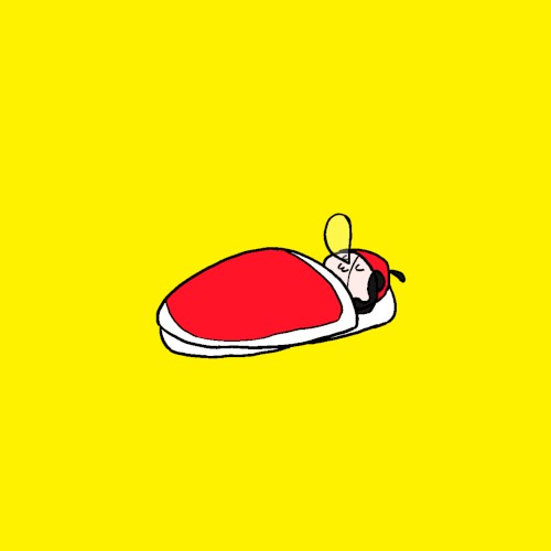 マツテイル