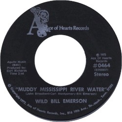 Muddy Mississippi River Water / Widow Julie