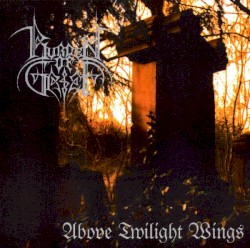 Above Twilight Wings
