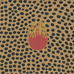 Deliquescence