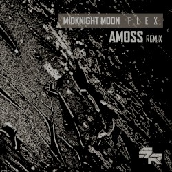 Flex (Amoss remix)