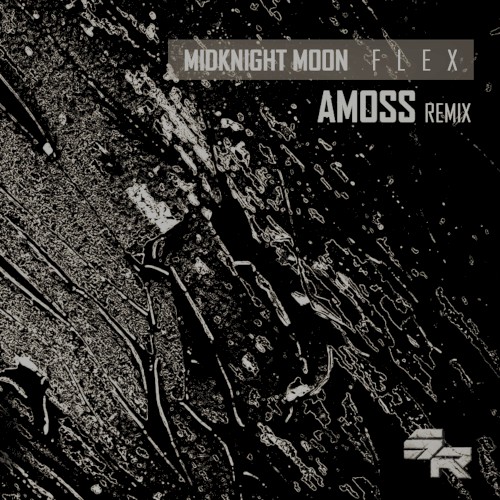 Flex (Amoss remix)