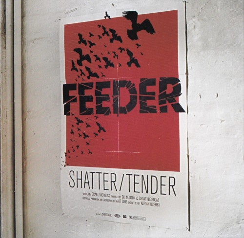 Shatter / Tender