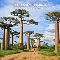 Saronghi’s Savannah