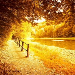 The Road Less Traveled