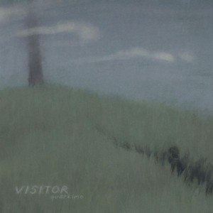 Visitor
