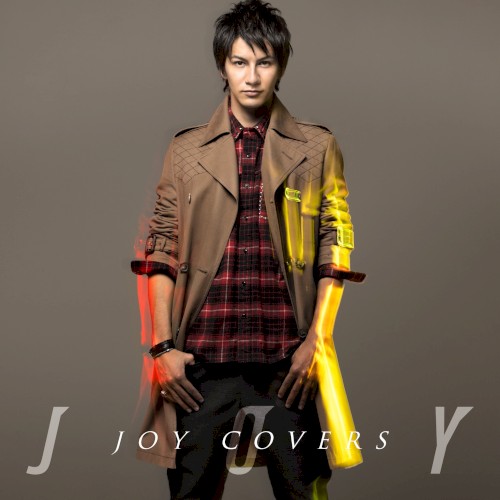JOY COVERS