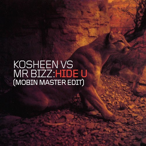 Hide U (Mobin Master Edit)