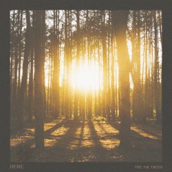 The Fir Trees