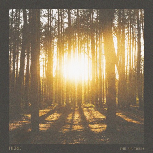 The Fir Trees