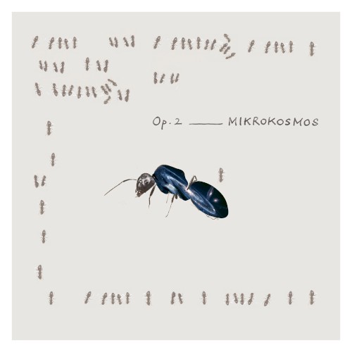 月一交響曲 Op.2「MIKROKOSMOS(ミクロコスモス)」