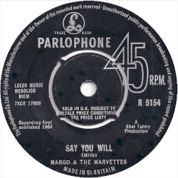Say You Will