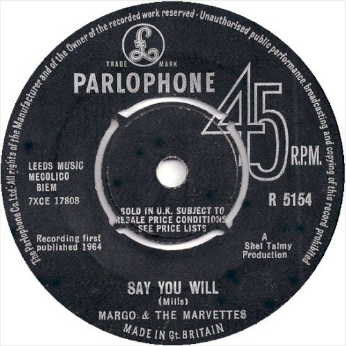 Say You Will