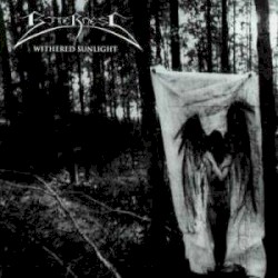 Withered Sunlight / False Guardians