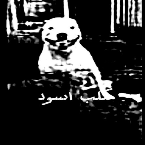 كلب اسود