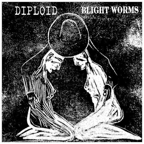 Diploid / Blight Worms
